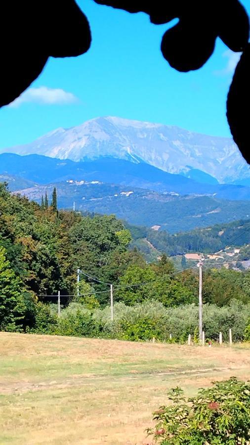 Resort Bouquet & Gourmet Ascoli Piceno Bagian luar foto